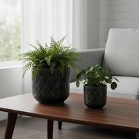 Pot en céramique émaillé durable pour plantes succulentes, idéal pour la maison et l'intérieur/extérieur
