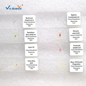 Microscoop Preparaten Hot Sale 10 stuks Gemengde Verschillende Schimmels Microbiologie Preparaten - Product Image 2