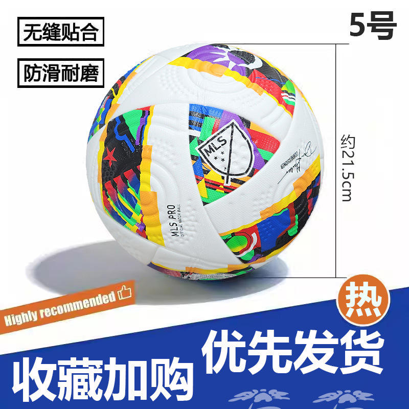 ฟุตบอลลีกหลัก 2024