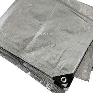 Étanche Pvc/poly <span class=keywords><strong>Toile</strong></span> Bâche <span class=keywords><strong>pour</strong></span> Camping Camion Camion Piscine Couverture Auvent Tente Stores Auvents En Plastique Modling Dessin Type - Product Image 3