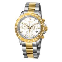 Montre de plongée OEM en acier inoxydable 316, style professionnel, luxe, mouvement mécanique Seiko, analogique, résistante à l'eau 50 bars