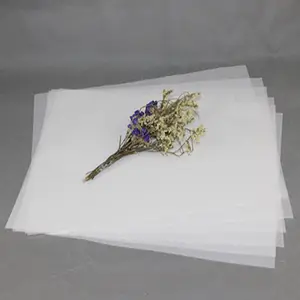 22-23g MG de papier d'emballage de sulfite blanc dans un emballage en rame