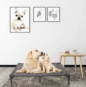 Malla lavable para exteriores, cuna grande elevada para mascotas, base de refrigeración, cama elevada antideslizante para mascotas - Product Image 2