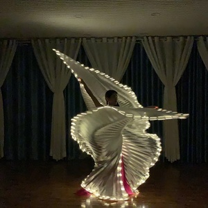 Venda quente de asas de dança do ventre para dança de ventre, asas de <span class=keywords><strong>Isis</strong></span> para dança, LED para adultos, asas divididas para uso em performance