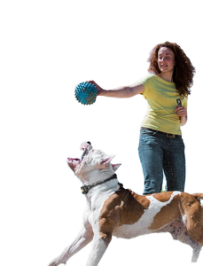 <span class=keywords><strong>Collar</strong></span> de Adiestramiento Antiladridos para Perros, Impermeable IP67, con Control Remoto ABS, Ecológico, NFC, <span class=keywords><strong>300M</strong></span>+, Plástico Resistente - Product Image 3