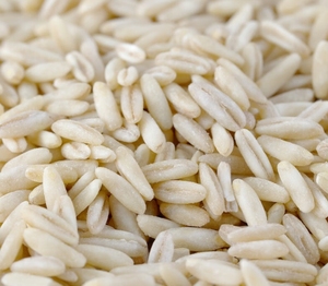 Germos de <span class=keywords><strong>Avena</strong></span> y Arroz Naturales Premium de Fábrica |   <span class=keywords><strong>Avena</strong></span> Germinada Envasada al Vacío - Product Image 5