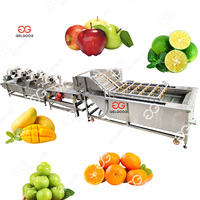 Fruit Waxen En Sortering Machine Kleine Sinaasappel Citroen Wassen Sortering Lijn Wassen Waxen Drogen Voor Mandarine Sinaasappel