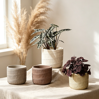 Pot en béton texturé style Wabi Sabi, pot de fleurs en ciment multicolores pour plantes vertes de bureau, personnalisable
