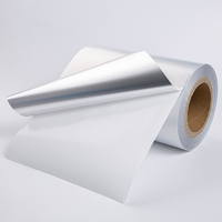 Hot Melt Rouleaux ou feuilles personnalisés en gros Film auto-adhésif PET en argent mat