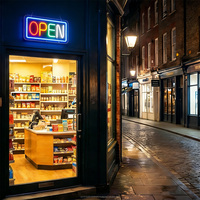 Letrero LED de neón con base transparente de acrílico, indicador luminoso de tienda ABIERTA, luz ambiental, personalizable en cualquier tamaño y diseño.