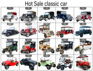 รถท่องเที่ยวไฟฟ้า 8 ที่นั่ง พร้อมหลังคาและม่านกันฝน - Product Image 2