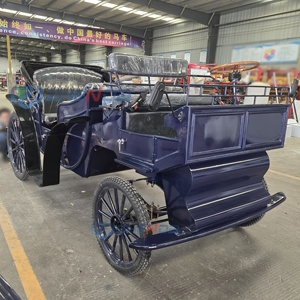 Sightseeing Carriage Special Transportation Leisure Sightseeing Carriage Special Custom Luxury Custom Carriage - Product Image 5