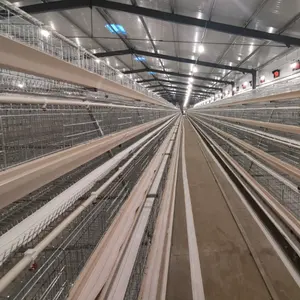 Proveedores de equipos de aves de corral automáticos, tipo jaula de gallinas ponedoras, A buen precio