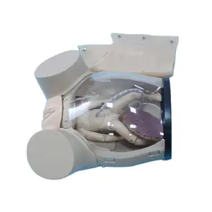 F50 High Quality Pvc Life Size White Medical Simulator Obstetrical Childbirth Training Fetus Development Model For Display