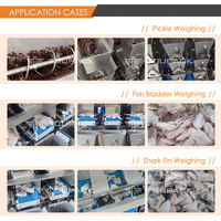 Machine de remplissage et de scellage automatique Doypack électrique haute précision pour sachets en plastique, contrôlée par PLC, avec peseuse multi-têtes de qualité alimentaire pour sachets préformés