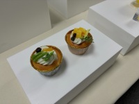 Gaojian 8 pièces Supports de présentation en acrylique blanc pour buffet, desserts, traiteur, bijoux et boîtes à cubes, empilables