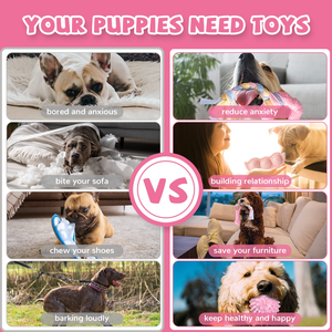 Hot Sale Eco Friendly Cute Chew Toys Durable Pet Toy Teething Chew Toys Pet Supplies - Product Image 5