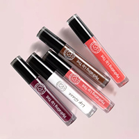 Gloss à lèvres mat brillant, gloss à lèvres brillant, fournisseurs de marques privées, nude, biologique, à base de plantes, hydratant, longue durée, liquide, végétalien