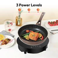 Cuisinière à induction solaire portable DC48V, table et encastrable pour camping-car, voyages en plein air, facile à utiliser