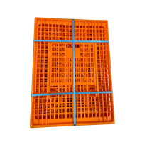 Caisses de transport pour poulets vivants Berys 75x55x29cm, type H, cages en plastique pour animaux, neuves, capacité 10-12 poulets, longue durée de vie