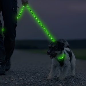 Correa y <span class=keywords><strong>Collar</strong></span> para Mascotas 2 en 1 de Lujo, Correa para Perro con LED Recargable, Cuerda de Poliéster Resistente y Gruesa, <span class=keywords><strong>Collar</strong></span> Antideslizante Trenzado - Product Image 1