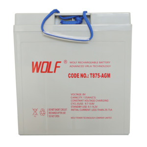 8V T875 Deep Cycle Lead Acid <b>Batteries</b> 170AH for Golf Carts and Sightseeing Buses - Product Image 2