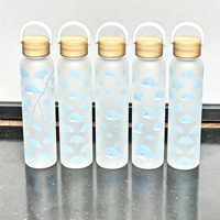 Bouteille d'eau en verre personnalisée de 19 oz avec impression intégrale et revêtement en silicone doux au toucher
