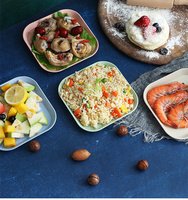 Vente chaude Assiette à dîner carrée en paille de blé écologique de 6 pouces Style nordique Petite assiette à mine 10 pièces