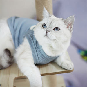 Newest Summer Pet Supplies <b>Cat</b> Accessories Pet <b>Clothes</b> <b>Cat</b> Dress Cute Pet Clothing <b>Cat</b> <b>Clothes</b> - Product Image 5