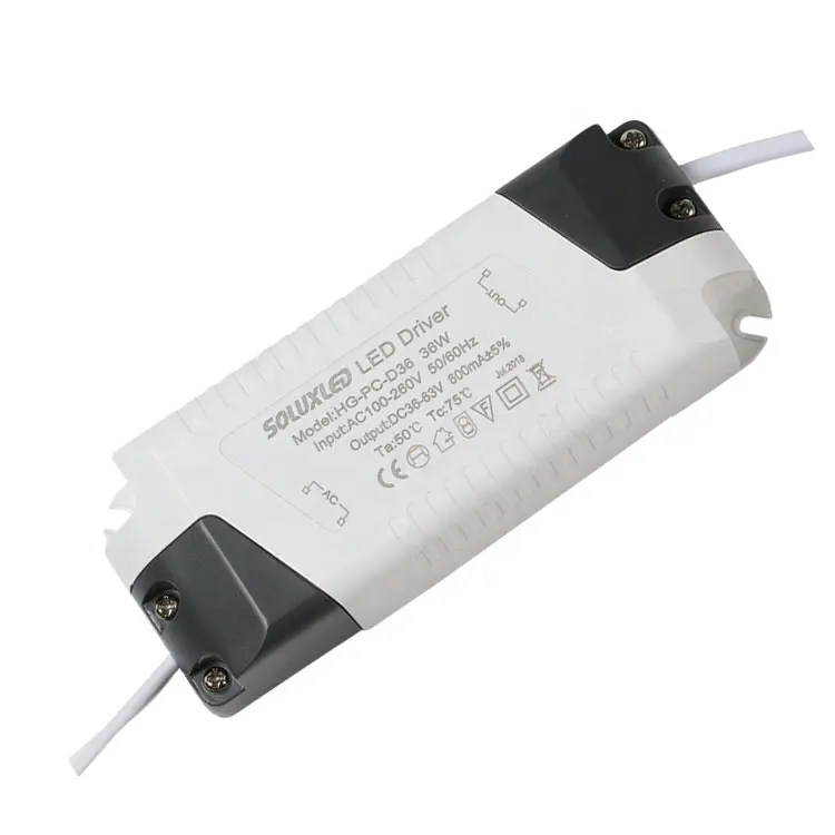 IP20 LED Driver 24W 36W Constant Current 300 mA 600mA for Panel Light