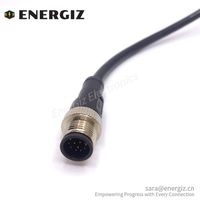 Câble de capteur mâle noir en PVC de 2m d'alimentation d'usine M12 12 broches droites avec connecteurs de codage