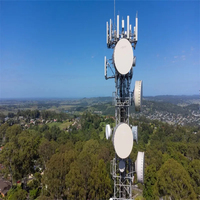 Mât d'antenne WiFi en acier galvanisé à chaud de 100 pieds, tour de télécommunication pour la communication avec une durée de vie de 20 à 50 ans