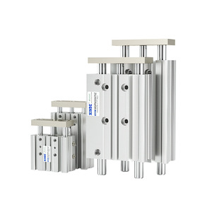 Cylindres triaxiaux pneumatiques MGPL, différentes tailles 12/16/20/25/32/40/50/63/80/100 mm, composant moteur principal pour les industries agricoles - Product Image 1