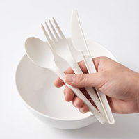 Ensemble de couverts jetables écologiques biodégradables en amidon de maïs pour les plats à emporter