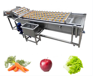 Industry Automatic Fruit and Vegetable Washing Machine Air Bubble Cleaning Machine for vegetable cleaning