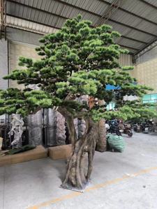 Lớn Ngoài Trời Trong Nhà Nhân Tạo Cây Bonsai 1M <span class=keywords><strong>2M</strong></span> 3M Màu Xanh Lá Cây Nhân Tạo Cây Thông Cho Vườn Trung Tâm Trang Trí Nội Thất - Product Image 6