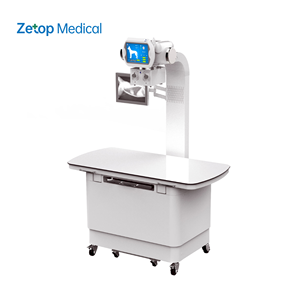 Machine de <span class=keywords><strong>radiographie</strong></span> numérique vétérinaire à rayons X Machine à rayons X numérique au sol pour animaux - Product Image 1