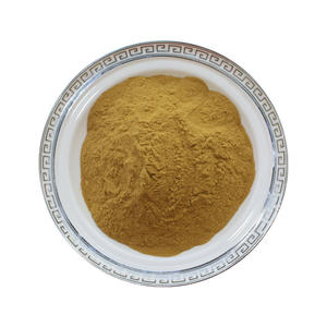 Fábrica de Fornecimento Extrato Vegetal Pure 10:1 ilex Kudincha Polissacarídeos <span class=keywords><strong>Broadleaf</strong></span> <span class=keywords><strong>Holly</strong></span> Folha Extrato Em Pó - Product Image 2