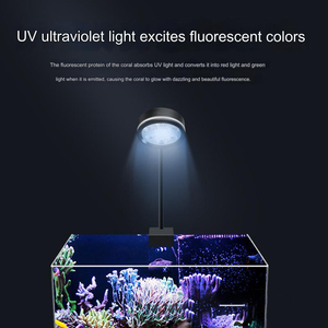 Relaxlines, luces <span class=keywords><strong>de</strong></span> <span class=keywords><strong>fondo</strong></span> LED multicolores, accesorios <span class=keywords><strong>de</strong></span> plástico para acuario, decoraciones para pecera, tanque <span class=keywords><strong>de</strong></span> <span class=keywords><strong>mar</strong></span>, caja <span class=keywords><strong>con</strong></span> forma <span class=keywords><strong>de</strong></span> cilindro - Product Image 4