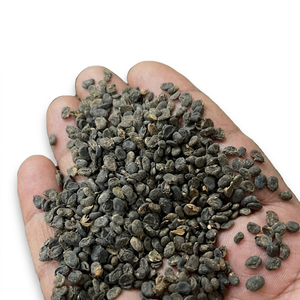 สารสกัดจากเมล็ดพืชสมุนไพรธรรมชาติเกรดอาหาร - Product Image 2