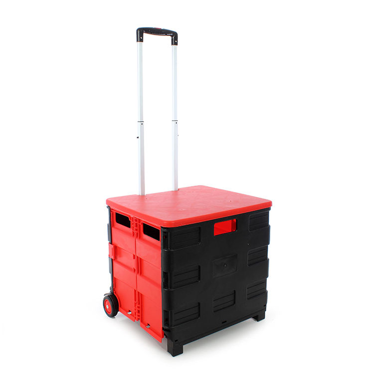 สีดำ W/สีแดง