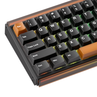 Clavier de jeu magnétique programmable sans fil Ray68 HE, disposition 65 %, ARGB, 500 Hz, Lightbox, compatible DIY, magnétique standard