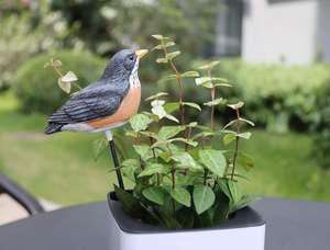 Garden Basix Humidimètre du sol Alarme <span class=keywords><strong>d</strong></span>'arrosage Gazouillement <span class=keywords><strong>Testeur</strong></span> <span class=keywords><strong>d</strong></span>'eau pour plantes Hygromètre Capteur Kit <span class=keywords><strong>d</strong></span>'outils <span class=keywords><strong>de</strong></span> jardinage pour plantes - Product Image 4