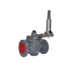 Vanne de réduction de pression Fisher Ezr 1/2 pouce pour eau à température normale USA - Product Image 5