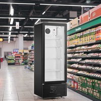 Réfrigérateur vertical à porte vitrée simple LC-310, vitrine réfrigérée commerciale, éclairage LED, 4 étagères réglables