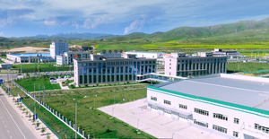 [HOSOME]food Grade Casein <strong>Powder</strong>/<strong>rennet</strong> Casein From Yak Milk As Protein Source/food Additive/thickener/emulsifier - Product Image 5