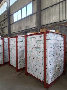 Cây trồng mới tươi nguyên liệu gừng gingembre Sản xuất tại Trung Quốc xuất khẩu không khí sạch gừng giá Trung Quốc - Product Image 3