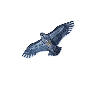 <span class=keywords><strong>Cerf</strong></span>-<span class=keywords><strong>volant</strong></span> chinois facile à piloter en forme <span class=keywords><strong>d</strong></span>'aigle pour effrayer les <span class=keywords><strong>oiseaux</strong></span>, <span class=keywords><strong>cerf</strong></span>-<span class=keywords><strong>volant</strong></span> dissuasif pour faucons - Product Image 4