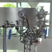 Mélangeur émulsifiant sous vide à levage hydraulique de 5 L, homogénéisateur pour petits lots, machine de fabrication de crème et de lotion, émulsifiant cosmétique de laboratoire