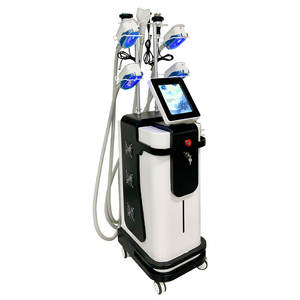 Máquina Reafirmante Corporal de Doble Cabezal FR-LD10 - Dispositivo Profesional de Contorno Corporal con Manijas Refrigerantes - Product Image 4